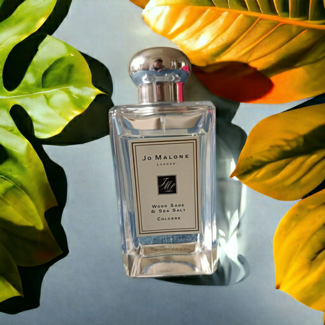 Jo malone wood sage sea salt отзыв. Jo Malone Sea Salt. Wood Sage Sea Salt. Wood Sage Sea Salt Jo Malone пирамида аромата. J Molan Wood Sage & Sea Salt.